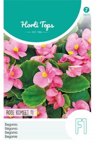 Begonia semperflorens Rose Kommet F1 cca 700 semien